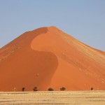 0873-Sossusvlei copie