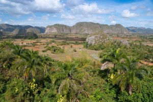 Vinales