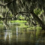 River Parishes Tourism Commission travel sites: Matherne's Airboat Rides, Destrehan Plantation, Evergreen Plantation