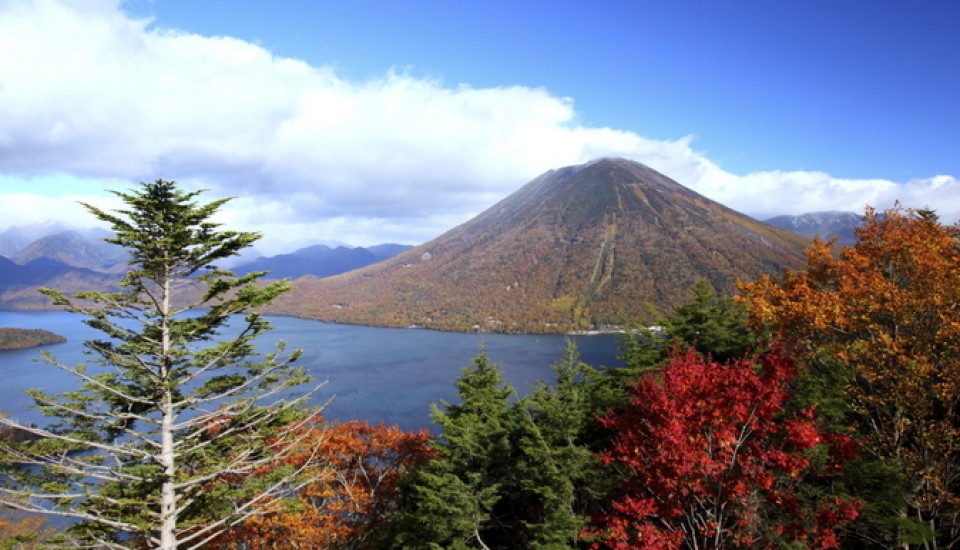 GRANDE DECOUVERTE DU JAPON