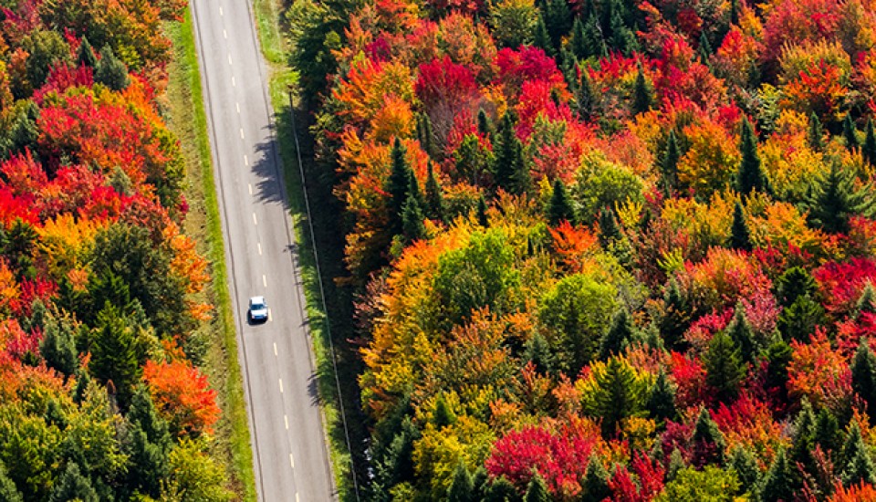 AUTOTOUR AU QUEBEC AUTHENTIQUE