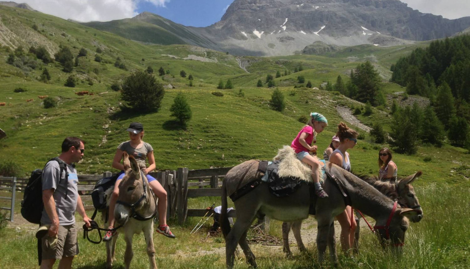 Séjour dans les Alpes du Sud